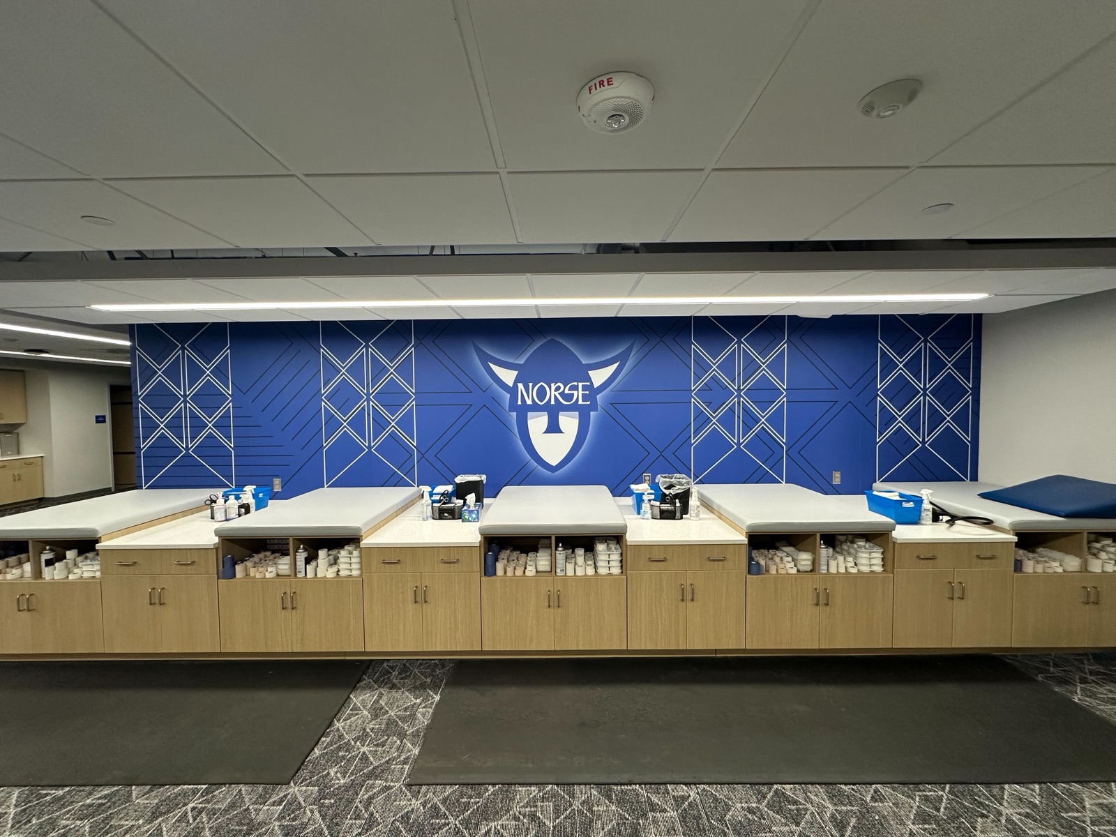 Luther College Norse Wall Graphic